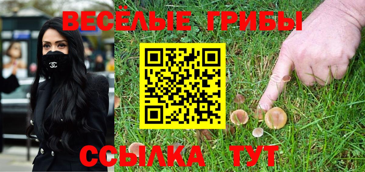 Галлюциногенные грибы Psilocybine cubensis Кинешма