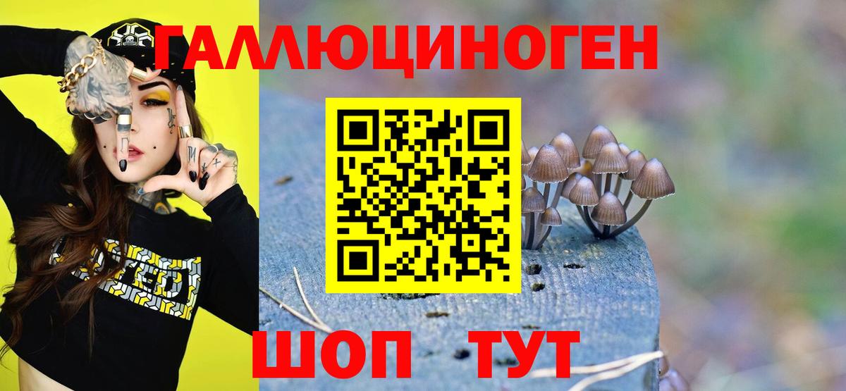 Кинешма  Галлюциногенные грибы Cubensis  Вход с VPN  Псилоцибиновые грибы Magic Shrooms 